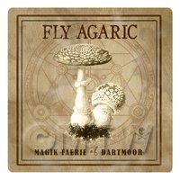 Dolls House Miniature Apothecary Fly Agaric Fungi Sepia Box Label