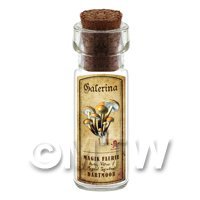 Dolls House Apothecary Galerina Fungi Bottle And Colour Label