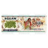 Dolls House Miniature Squaw Choice Sifted Pea Brand Label (1920s)