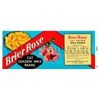 Dolls House Miniature Brier Rose Wax Beans Label (1930s)