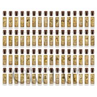 Dolls House Apothecary Set Of 64 Herb Long Sepia Label And Bottles