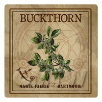 Dolls House Herbalist/Apothecary Square Buckthorn Herb Label