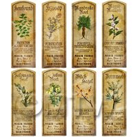 Dolls House Herbalist/Apothecary Long Herb Colour Label Set 5