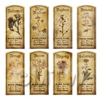 Dolls House Herbalist/Apothecary Short Herb Sepia Label Set 2