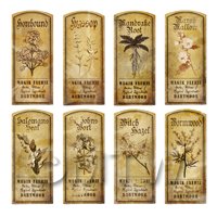 1/12th scale - Dolls House Herbalist/Apothecary Short Herb Sepia Label Set 5