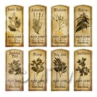 Dolls House Herbalist/Apothecary Short Herb Sepia Label Set 6