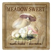 Dolls House Miniature Apothecary Meadow Sweet Fungi Colour Box Label