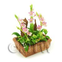 Dolls House Miniature Pink and White Cattleya Orchid Display