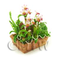 Dolls House Miniature White /Pink/Dark Pink Cattleya Orchid Display