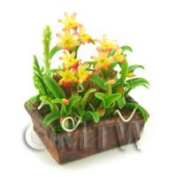 Dolls House Miniature Red / Yellow Cattleya Orchid Display
