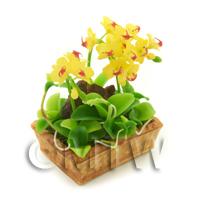 Dolls House Miniature Yellow / Red Dendrobium Orchid Display
