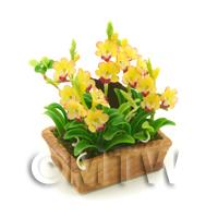 Dolls House Miniature Red / Yellow Cymbidium Orchid Display