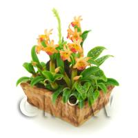 Dolls House Miniature Peach Demdrobium Orchid Display