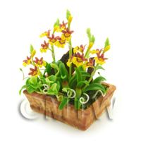 Dolls House Miniature Dusty Red / Yellow Demdrobium Orchids