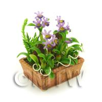 Dolls House Miniature Violet Dendrobium Orchid Display