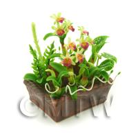 Dolls House Miniature Pale Green / Pink Demdrobium Orchids