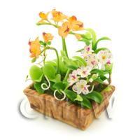 Dolls House Peach Cattleya and White Cattleya Orchids