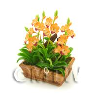 Dolls House Miniature Peach / Yellow Cattleya Orchid Display