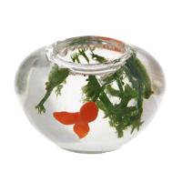 Dolls House Miniature Gold Fish In Classic Glass Bowl 