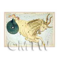 Dolls House Miniature 1820s Star Map Depicting Capricorn