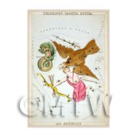 Dolls House Miniature 1820s Star Map Depicting Delphinus