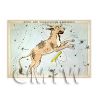 Dolls House Miniature 1820s Star Map Depicting Lynx