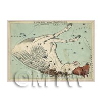 Dolls House Miniature 1820s Star Map Depicting Pegasus, Equuleus