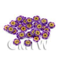 50 Purple And Yellow Flower Cane Slices (11NS89)