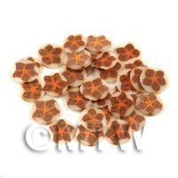 50 Brown And Copper Star FlowerCane Slices (11NS83)