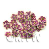 50 Purple And Yellow Flower Cane Slices (11NS84)