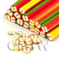 Handmade Ripening Apple Cane - Nail Art (DNC55)