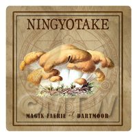 Dolls House Miniature Apothecary Ningyotake Fungi Colour Box Label