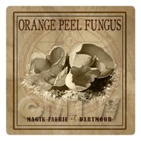 Dolls House Miniature Apothecary Orange Peel Fungi Sepia Box Label