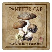 Dolls House Miniature Apothecary Panther Cap Fungi Colour Box Label