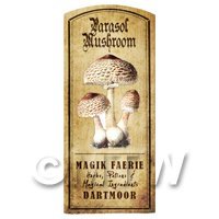 Dolls House Miniature Apothecary Parasol Mushroom Colour Label