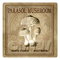 Dolls House Miniature Apothecary Parasol Mushroom Sepia Label