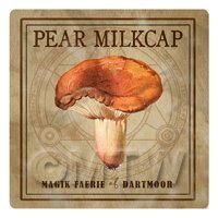 Dolls House Miniature Apothecary Pear Milkcap Fungi Colour Box Label