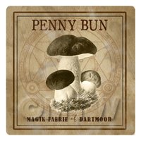 Dolls House Miniature Apothecary Penny Bun Fungi Sepia Box Label