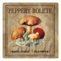 Dolls House Miniature Apothecary Peppery Bolete Fungi Colour Box Label