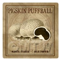 Dolls House Miniature Apothecary Pigskin Puffball Box Sepia Label