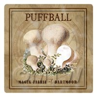 Dolls House Miniature Apothecary Puff Ball Fungi Colour Box Label