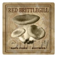 Dolls House Miniature Apothecary Red Brittlegill Fungi Sepia Box Label