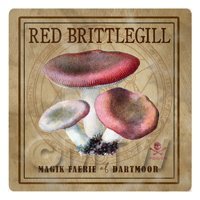 Dolls House Miniature Apothecary Red Brittlegill Fungi Colour Box Label