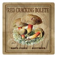1/12th scale - Dolls House Miniature Apothecary Red Cracking Bolete Fungi Colour Box Label