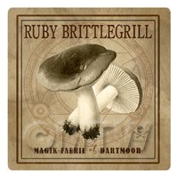 Dolls House Miniature Apothecary Ruby Brittlegill Fungi Sepia Box Label