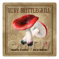 Dolls House Miniature Apothecary Ruby Brittlegill Fungi Colour Box Label