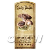 Dolls House Miniature Apothecary Scaly Urchin Fungi Colour Label