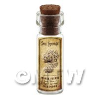 Dolls House Apothecary Sea Sponge Fungi Bottle And Colour Label