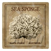 Dolls House Miniature Apothecary Sea Sponge Fungi Sepia Box Label