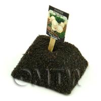Dolls House Miniature White Radish Seed Packet With A Stick